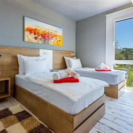 Amoris 8 ツリクヴェニツァ